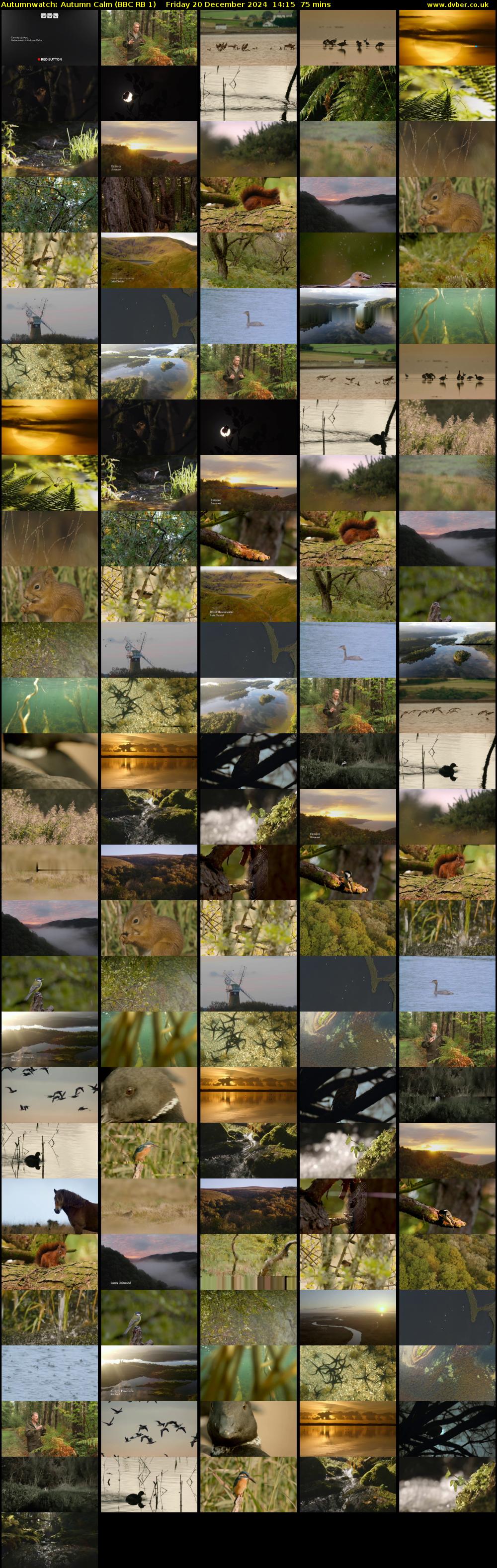 Autumnwatch: Autumn Calm (BBC RB 1) Friday 20 December 2024 14:15 - 15:30