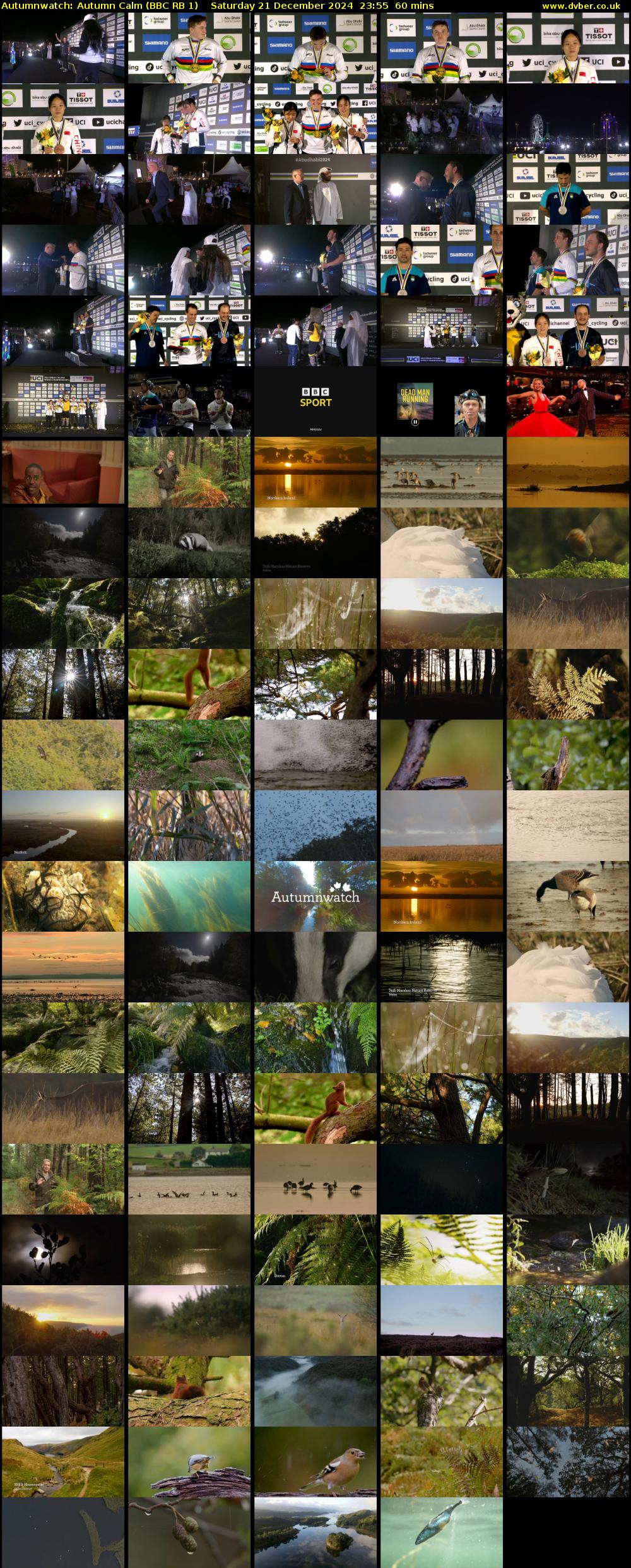 Autumnwatch: Autumn Calm (BBC RB 1) Saturday 21 December 2024 23:55 - 00:55