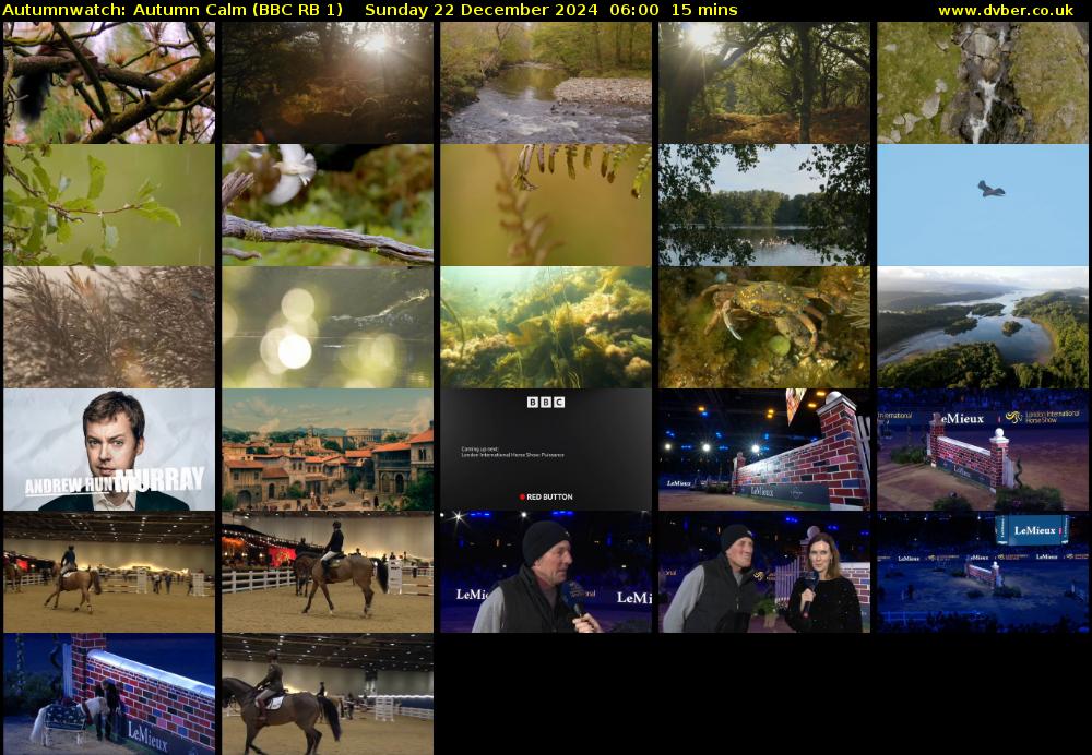 Autumnwatch: Autumn Calm (BBC RB 1) Sunday 22 December 2024 06:00 - 06:15