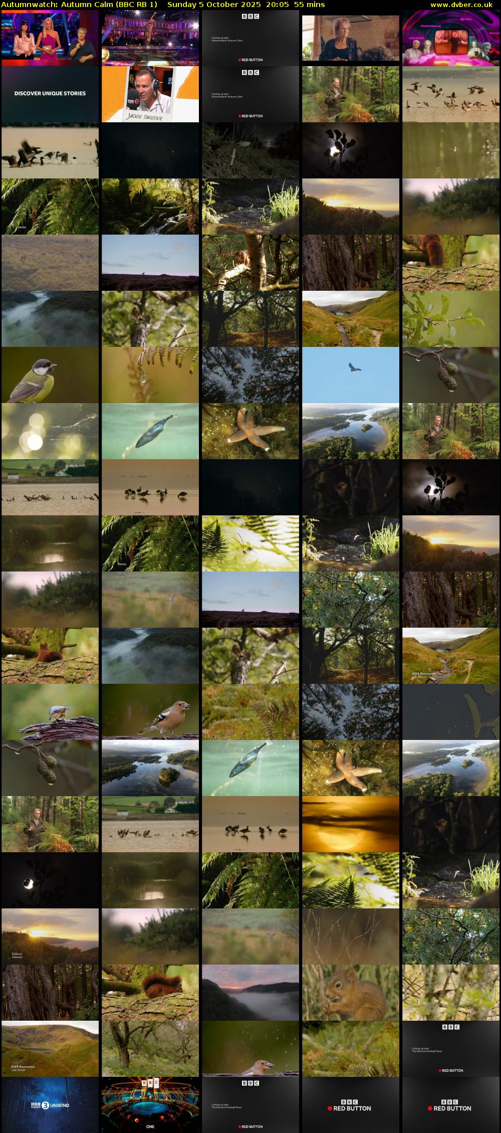 Autumnwatch: Autumn Calm (BBC RB 1) Sunday 5 October 2025 20:05 - 21:00