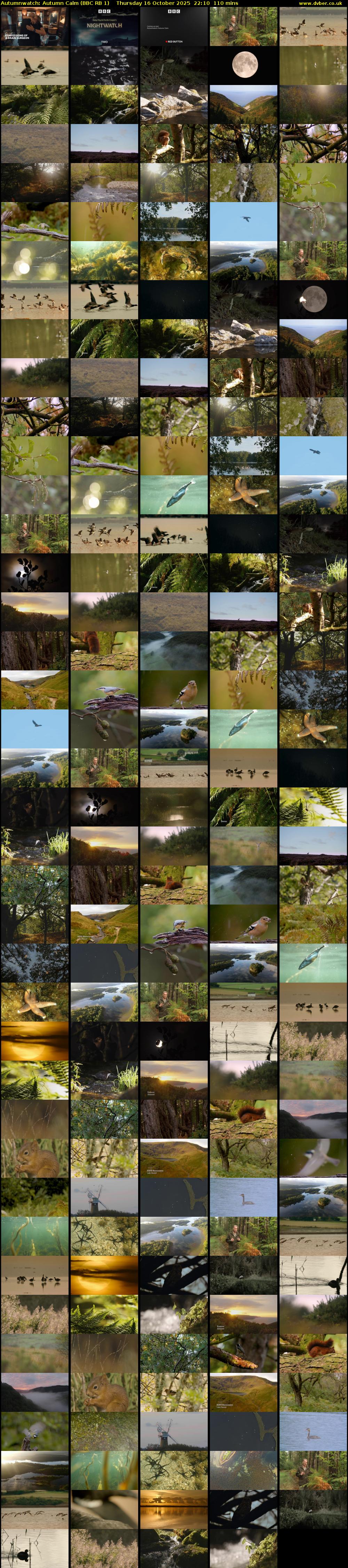 Autumnwatch: Autumn Calm (BBC RB 1) Thursday 16 October 2025 22:10 - 00:00