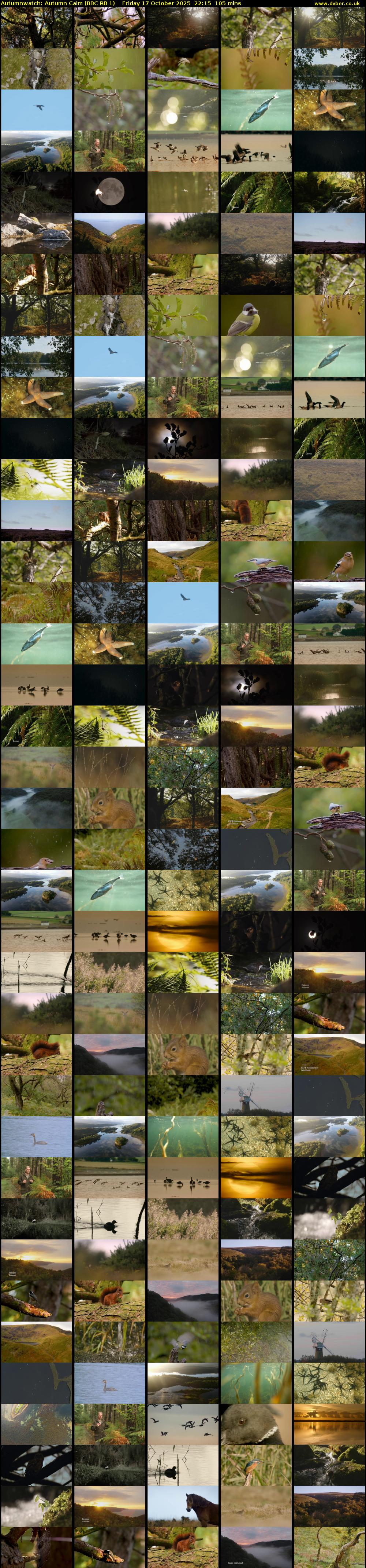 Autumnwatch: Autumn Calm (BBC RB 1) Friday 17 October 2025 22:15 - 00:00