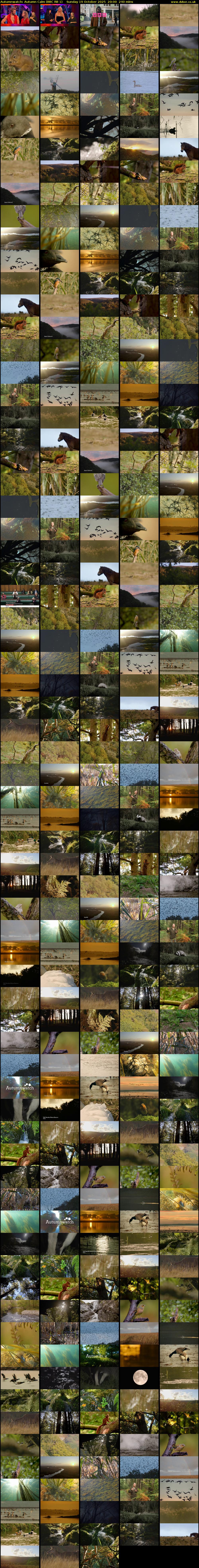 Autumnwatch: Autumn Calm (BBC RB 1) Sunday 19 October 2025 20:00 - 00:00