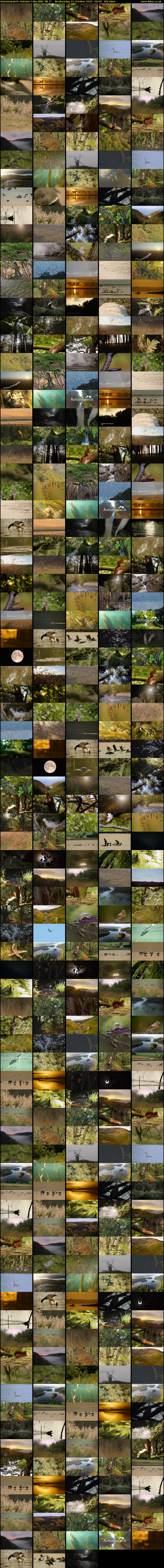 Autumnwatch: Autumn Calm (BBC RB 1) Wednesday 22 October 2025 00:00 - 06:00