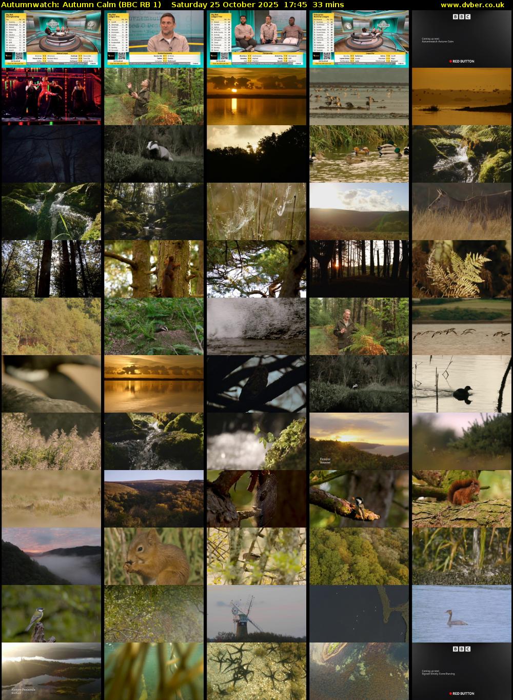 Autumnwatch: Autumn Calm (BBC RB 1) Saturday 25 October 2025 17:45 - 18:18