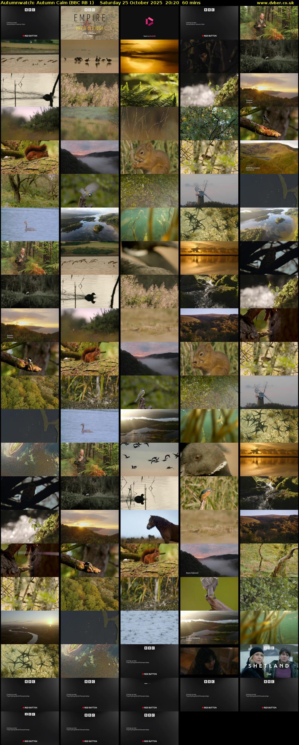 Autumnwatch: Autumn Calm (BBC RB 1) Saturday 25 October 2025 20:20 - 21:20