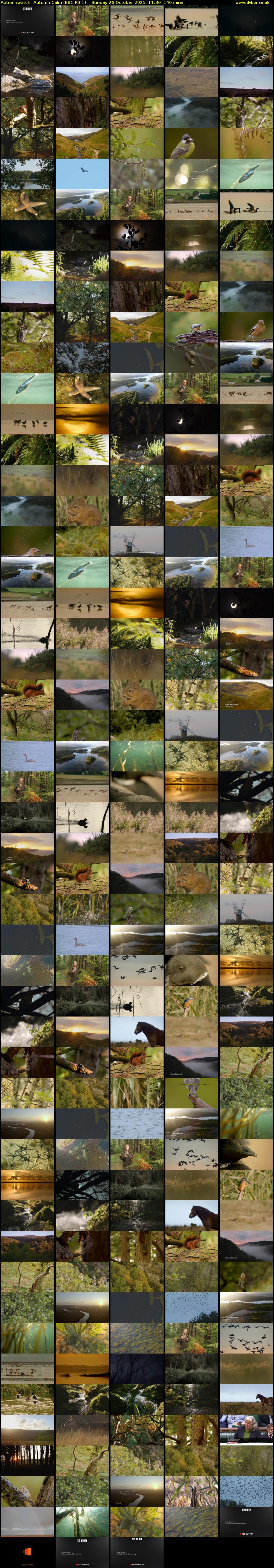 Autumnwatch: Autumn Calm (BBC RB 1) Sunday 26 October 2025 11:30 - 13:50