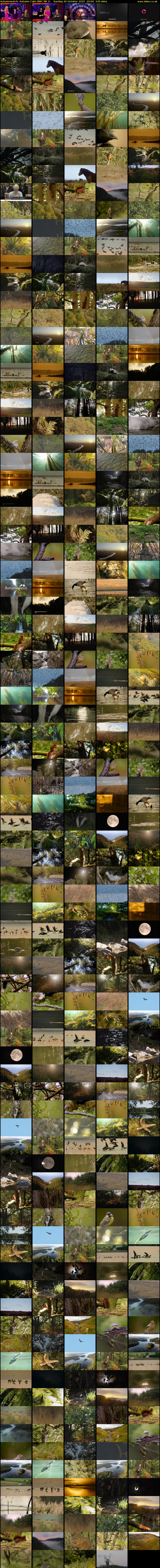 Autumnwatch: Autumn Calm (BBC RB 1) Sunday 26 October 2025 20:00 - 00:00