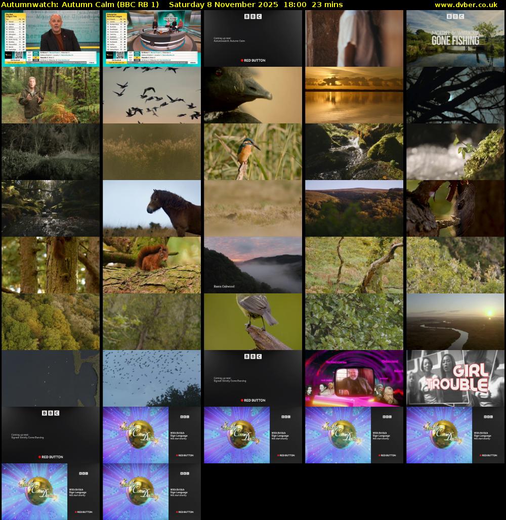 Autumnwatch: Autumn Calm (BBC RB 1) Saturday 8 November 2025 18:00 - 18:23