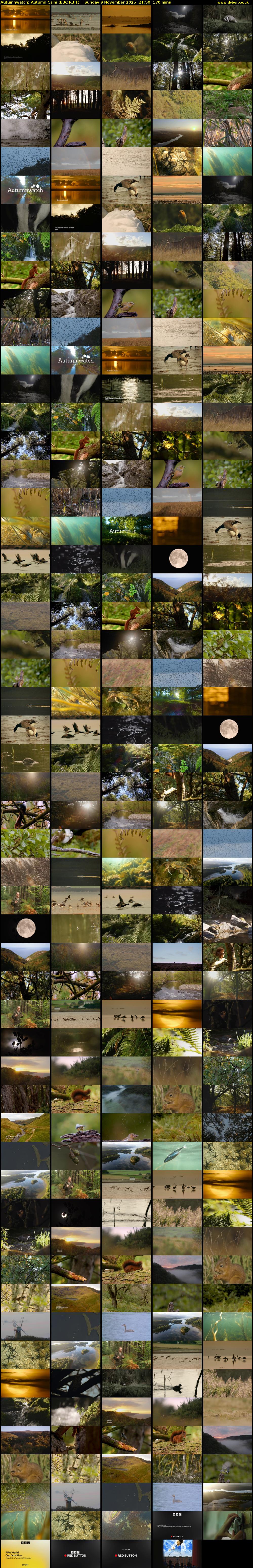 Autumnwatch: Autumn Calm (BBC RB 1) Sunday 9 November 2025 21:50 - 00:40