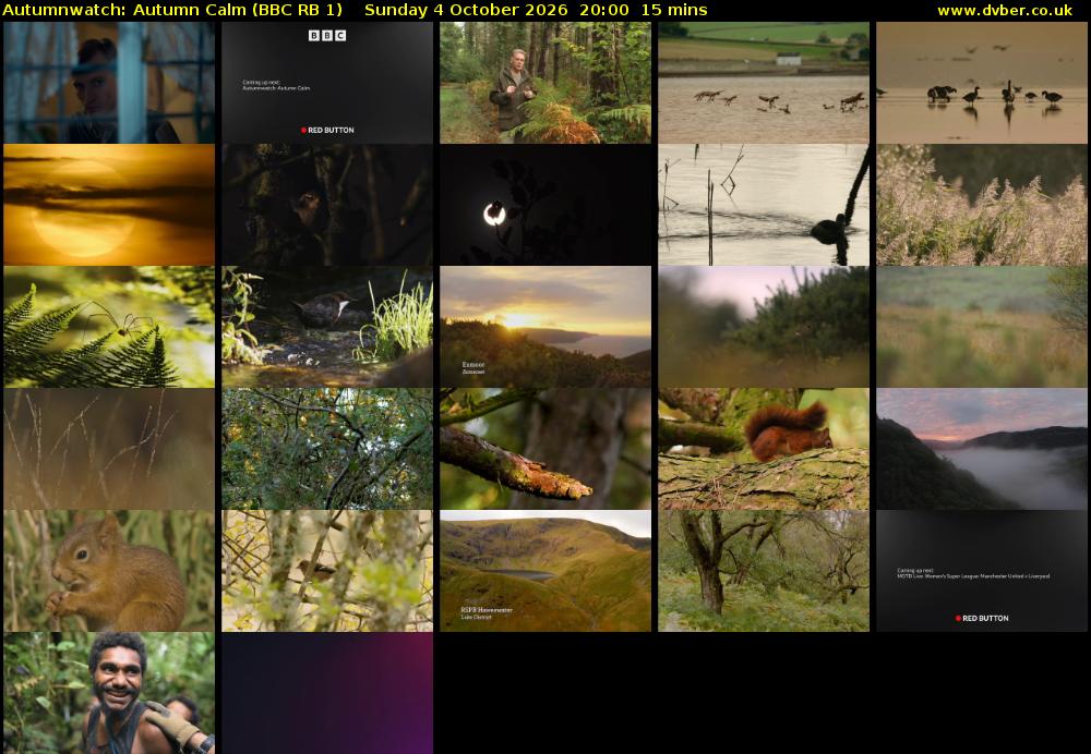 Autumnwatch: Autumn Calm (BBC RB 1) Sunday 4 October 2026 20:00 - 20:15