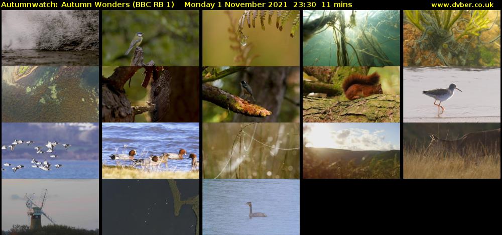 Autumnwatch: Autumn Wonders (BBC RB 1) Monday 1 November 2021 23:30 - 23:41