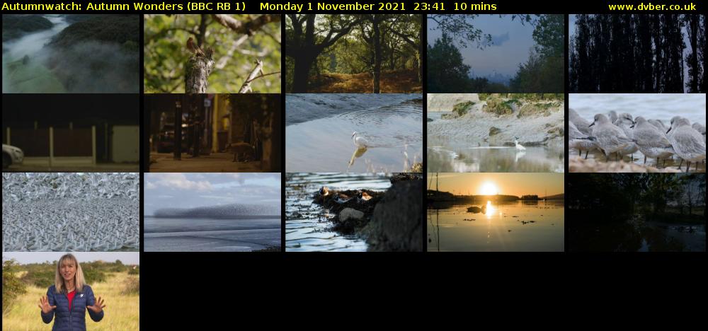 Autumnwatch: Autumn Wonders (BBC RB 1) Monday 1 November 2021 23:41 - 23:51