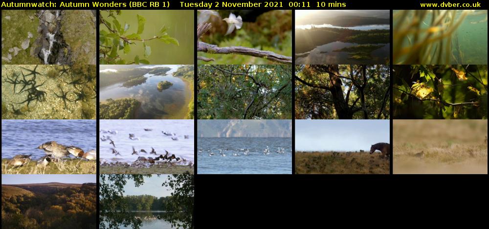 Autumnwatch: Autumn Wonders (BBC RB 1) Tuesday 2 November 2021 00:11 - 00:21