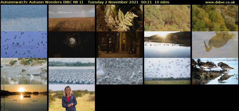 Autumnwatch: Autumn Wonders (BBC RB 1) Tuesday 2 November 2021 00:21 - 00:31