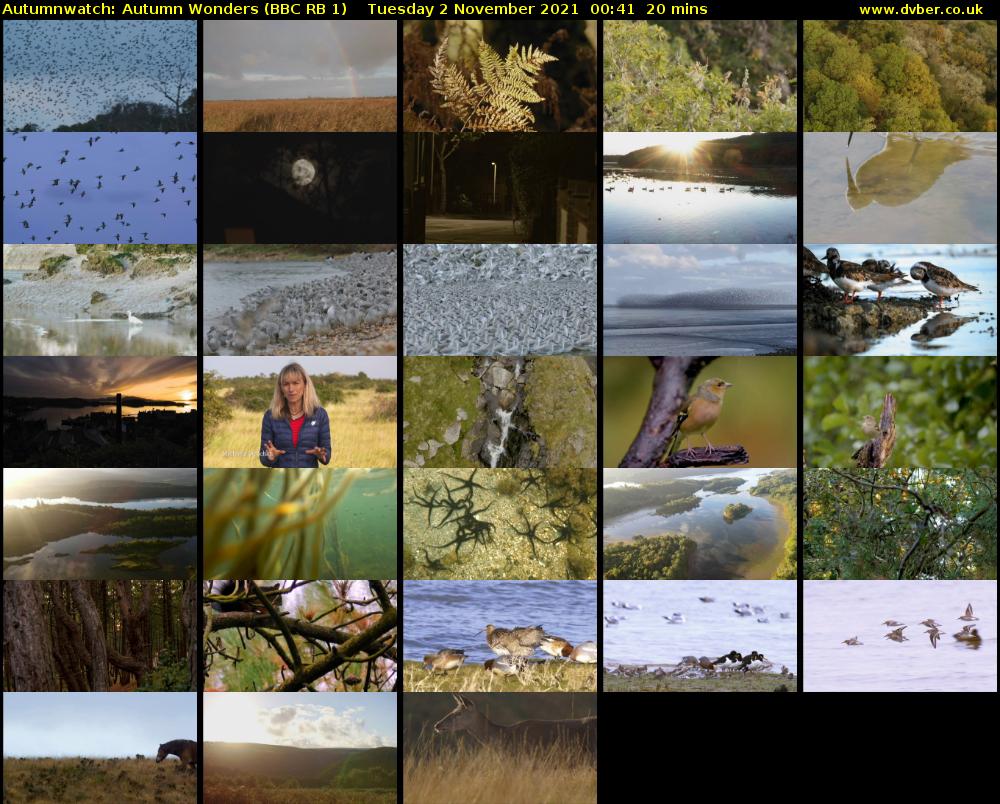 Autumnwatch: Autumn Wonders (BBC RB 1) Tuesday 2 November 2021 00:41 - 01:01