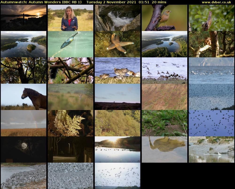 Autumnwatch: Autumn Wonders (BBC RB 1) Tuesday 2 November 2021 01:51 - 02:11