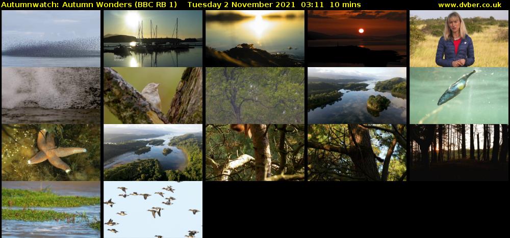 Autumnwatch: Autumn Wonders (BBC RB 1) Tuesday 2 November 2021 03:11 - 03:21