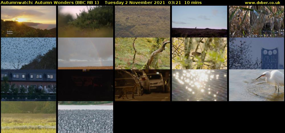 Autumnwatch: Autumn Wonders (BBC RB 1) Tuesday 2 November 2021 03:21 - 03:31