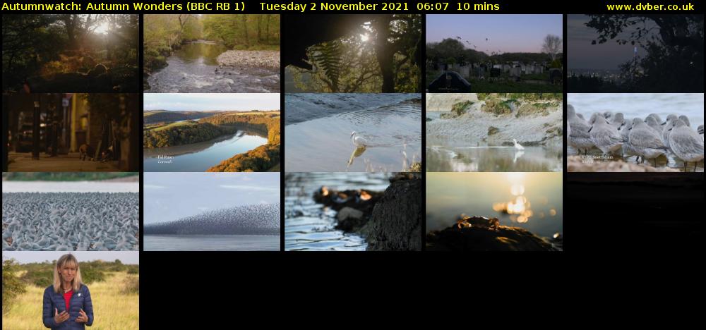 Autumnwatch: Autumn Wonders (BBC RB 1) Tuesday 2 November 2021 06:07 - 06:17
