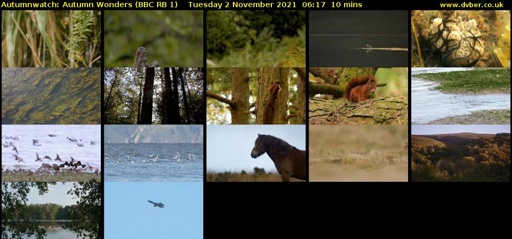 Autumnwatch: Autumn Wonders (BBC RB 1) Tuesday 2 November 2021 06:17 - 06:27