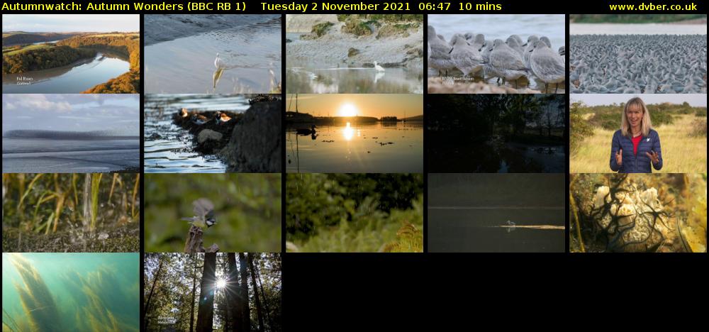 Autumnwatch: Autumn Wonders (BBC RB 1) Tuesday 2 November 2021 06:47 - 06:57