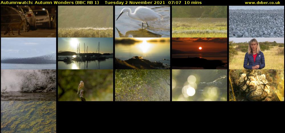 Autumnwatch: Autumn Wonders (BBC RB 1) Tuesday 2 November 2021 07:07 - 07:17