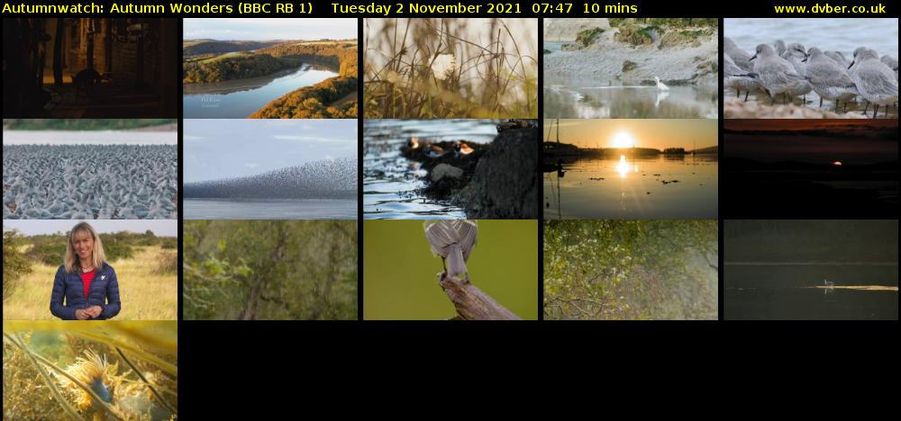 Autumnwatch: Autumn Wonders (BBC RB 1) Tuesday 2 November 2021 07:47 - 07:57