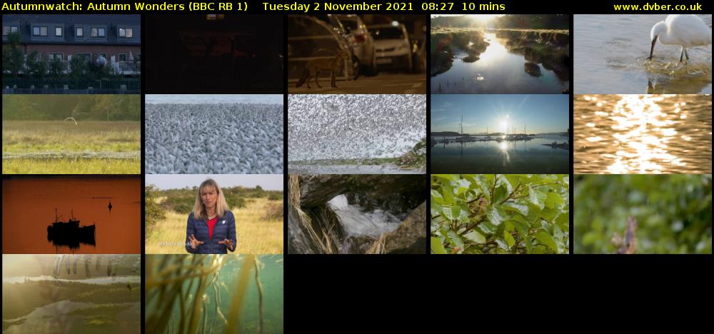 Autumnwatch: Autumn Wonders (BBC RB 1) Tuesday 2 November 2021 08:27 - 08:37