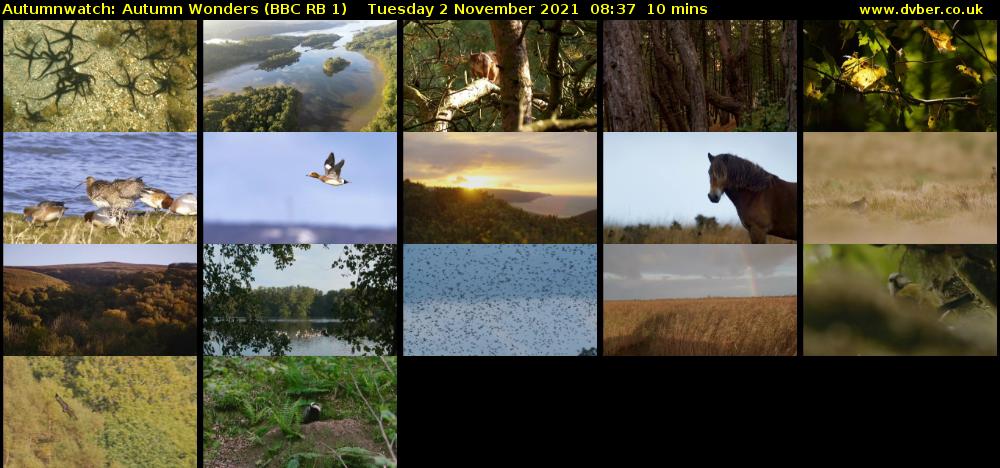 Autumnwatch: Autumn Wonders (BBC RB 1) Tuesday 2 November 2021 08:37 - 08:47