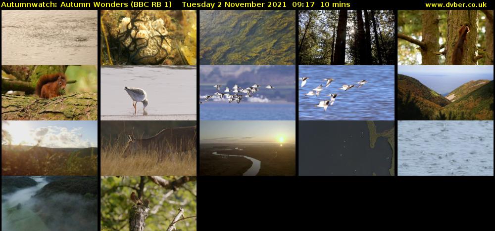 Autumnwatch: Autumn Wonders (BBC RB 1) Tuesday 2 November 2021 09:17 - 09:27