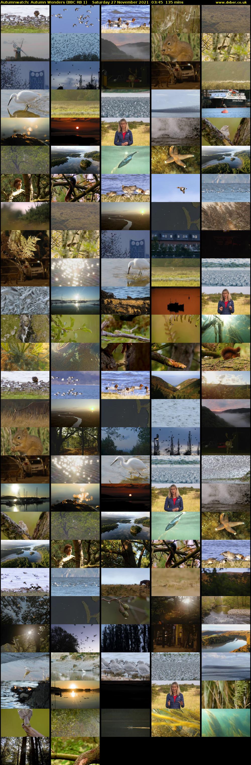 Autumnwatch: Autumn Wonders (BBC RB 1) Saturday 27 November 2021 03:45 - 06:00