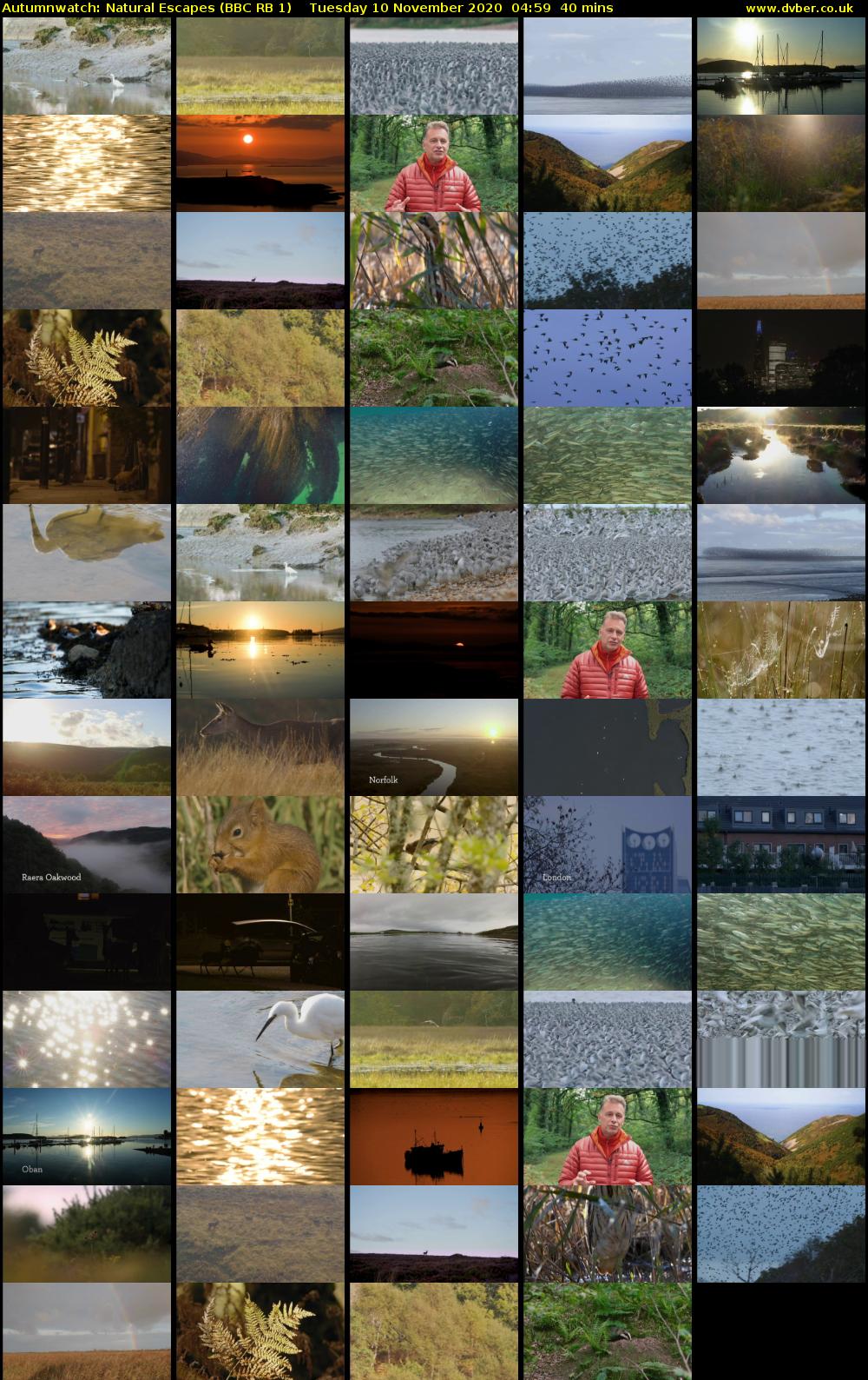 Autumnwatch: Natural Escapes (BBC RB 1) Tuesday 10 November 2020 04:59 - 05:39