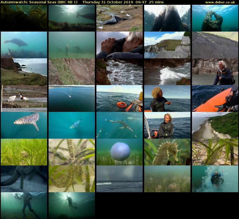 Autumnwatch: Seasonal Seas (BBC RB 1) Thursday 31 October 2019 09:47 - 10:12