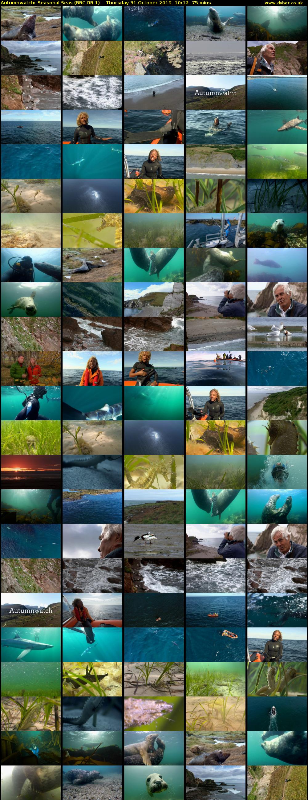 Autumnwatch: Seasonal Seas (BBC RB 1) Thursday 31 October 2019 10:12 - 11:27