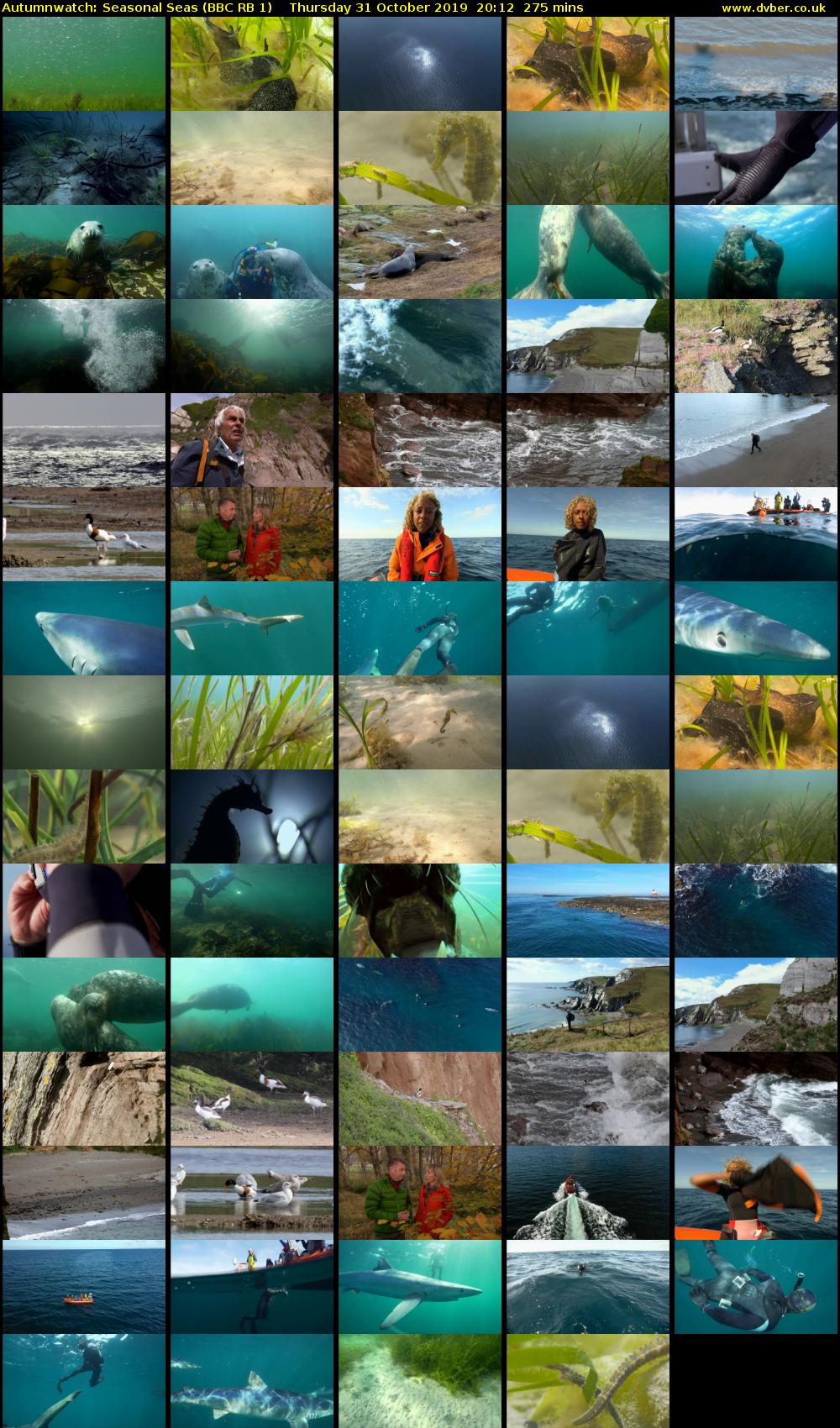 Autumnwatch: Seasonal Seas (BBC RB 1) Thursday 31 October 2019 20:12 - 00:47