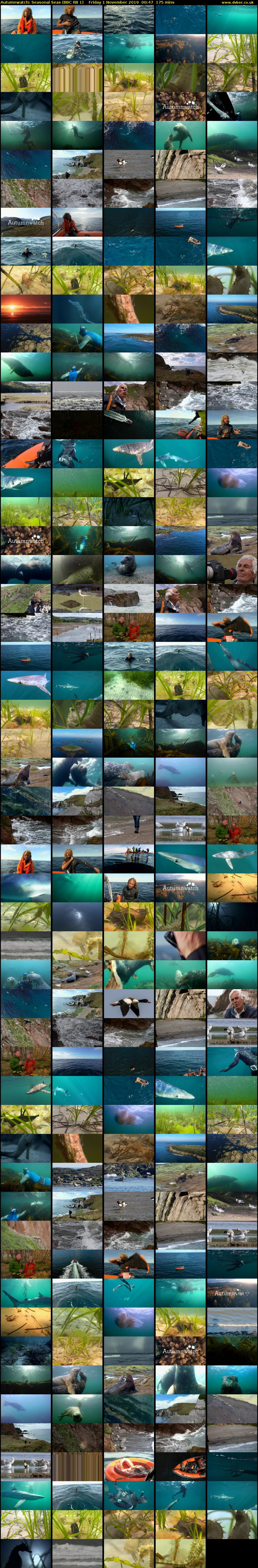 Autumnwatch: Seasonal Seas (BBC RB 1) Friday 1 November 2019 00:47 - 03:42