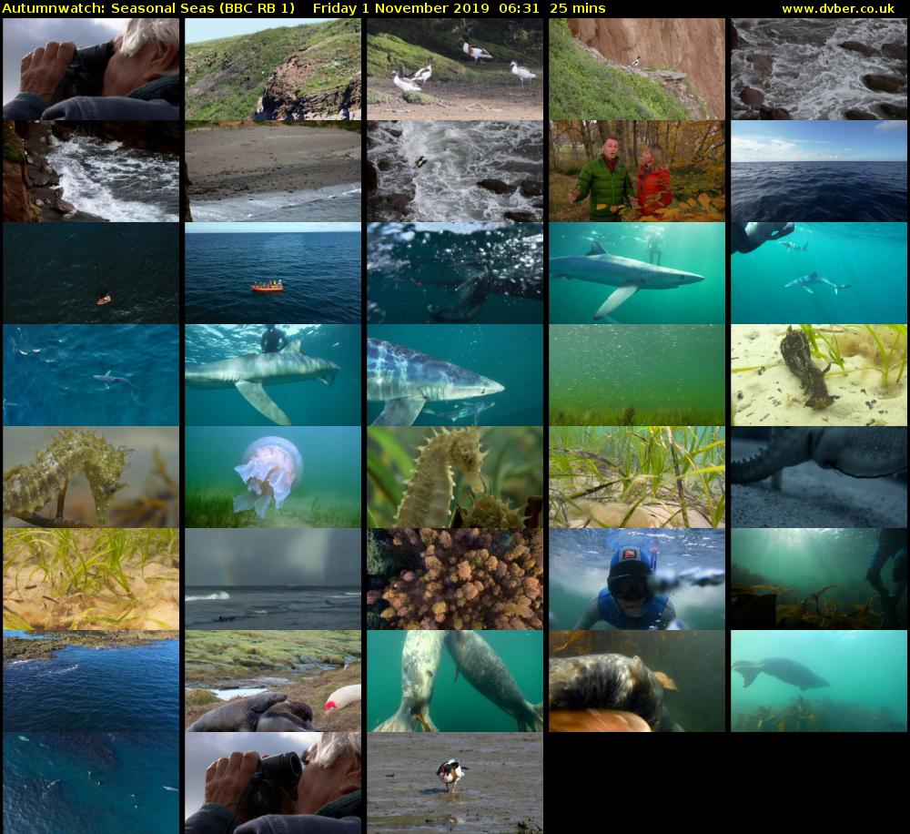 Autumnwatch: Seasonal Seas (BBC RB 1) Friday 1 November 2019 06:31 - 06:56