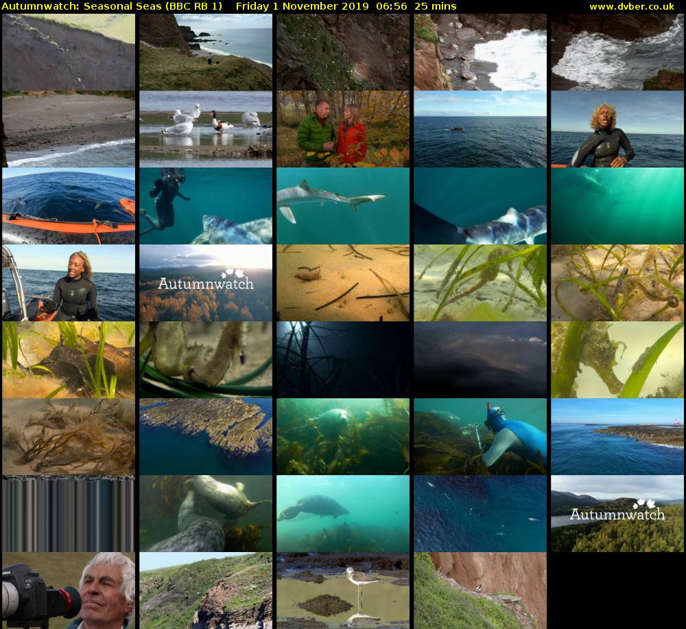 Autumnwatch: Seasonal Seas (BBC RB 1) Friday 1 November 2019 06:56 - 07:21