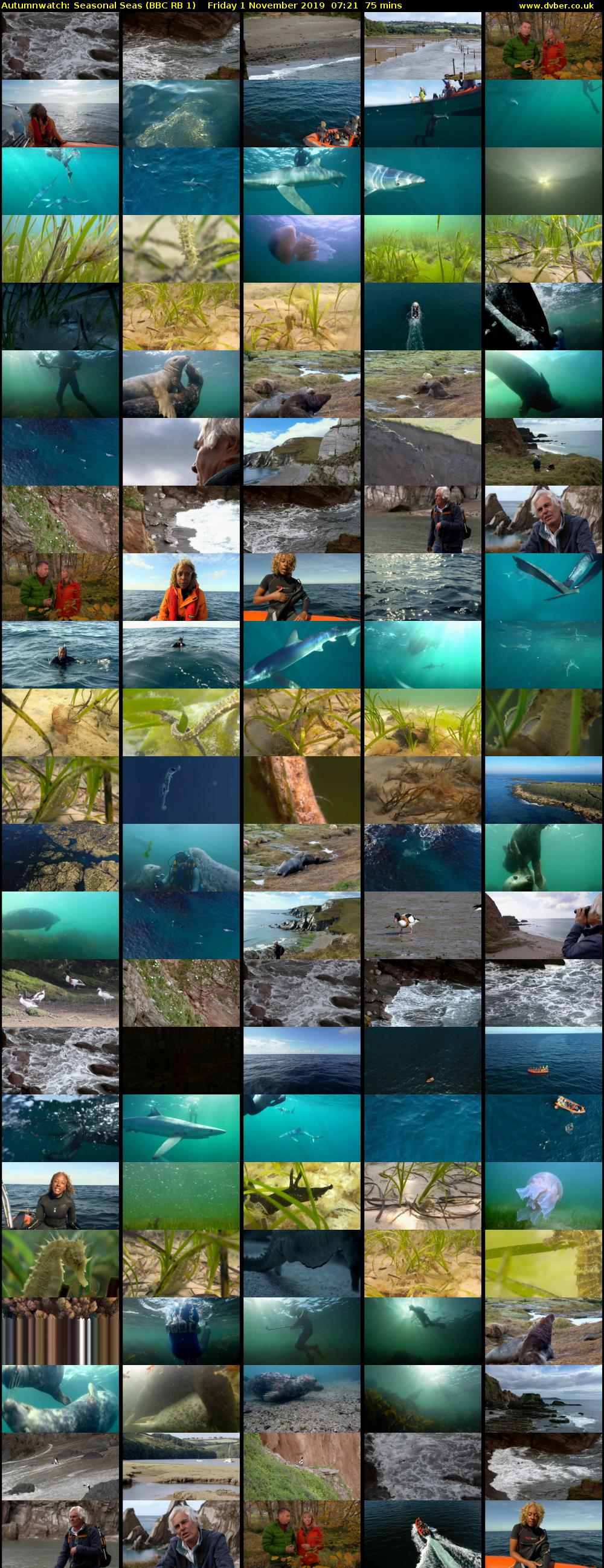 Autumnwatch: Seasonal Seas (BBC RB 1) Friday 1 November 2019 07:21 - 08:36
