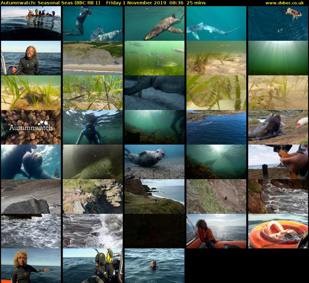 Autumnwatch: Seasonal Seas (BBC RB 1) Friday 1 November 2019 08:36 - 09:01