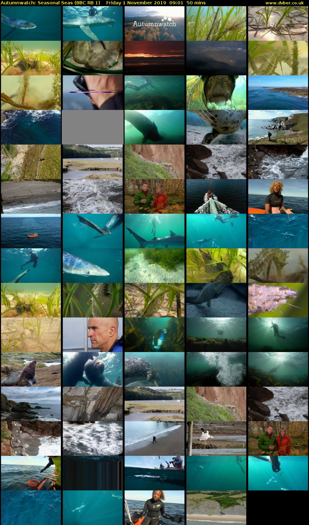 Autumnwatch: Seasonal Seas (BBC RB 1) Friday 1 November 2019 09:01 - 09:51