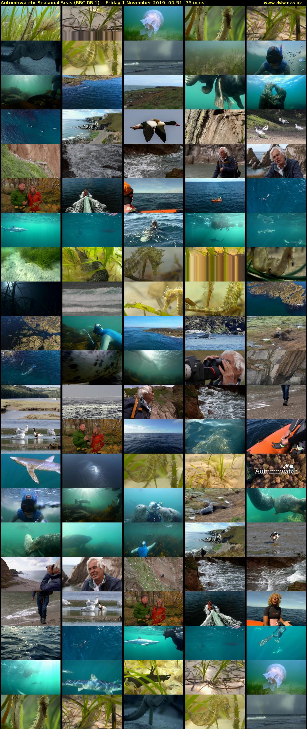 Autumnwatch: Seasonal Seas (BBC RB 1) Friday 1 November 2019 09:51 - 11:06