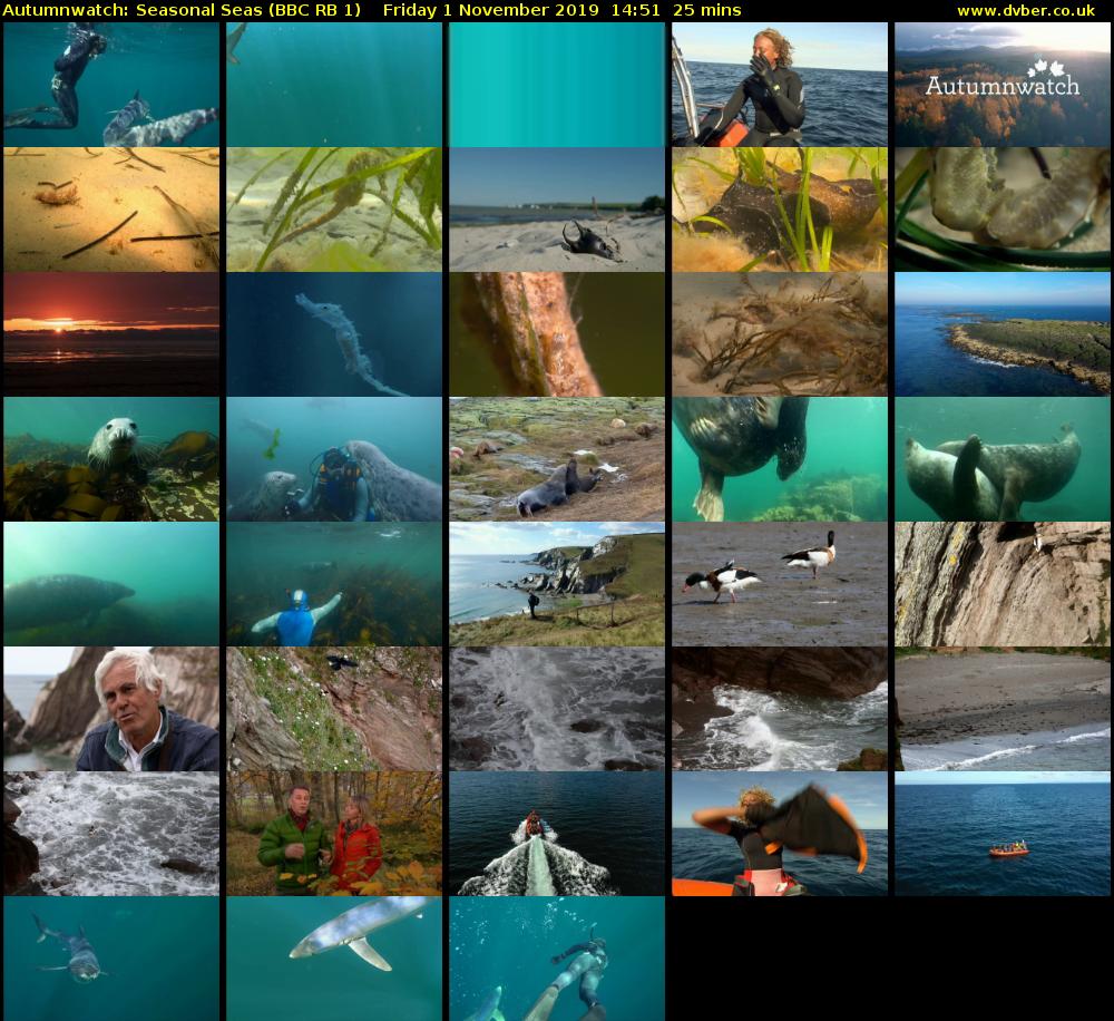 Autumnwatch: Seasonal Seas (BBC RB 1) Friday 1 November 2019 14:51 - 15:16