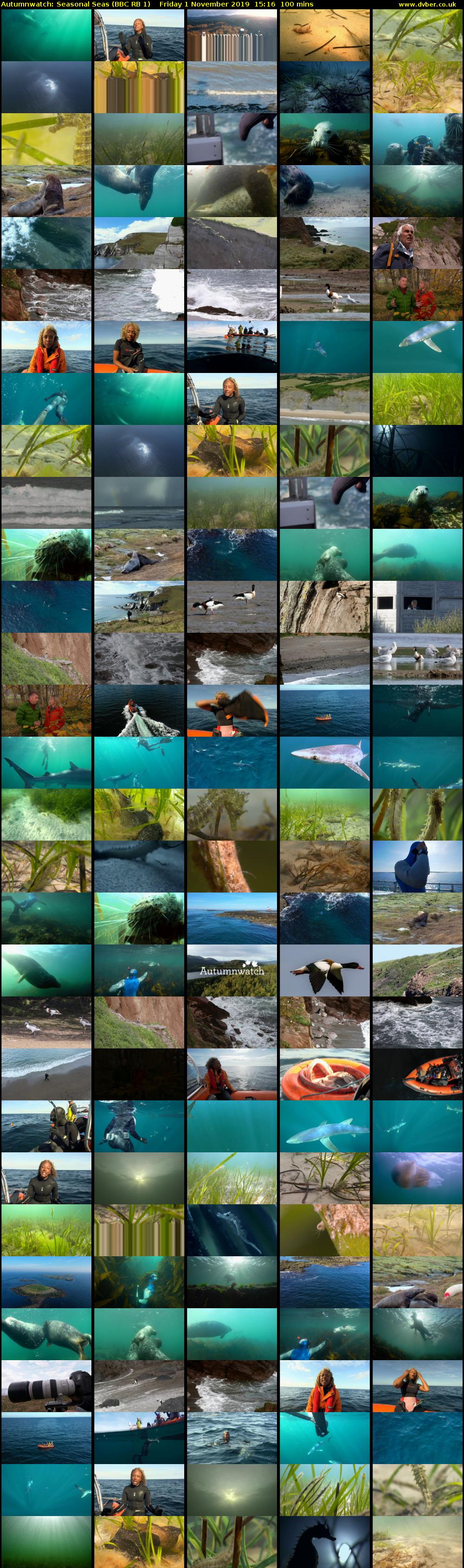 Autumnwatch: Seasonal Seas (BBC RB 1) Friday 1 November 2019 15:16 - 16:56