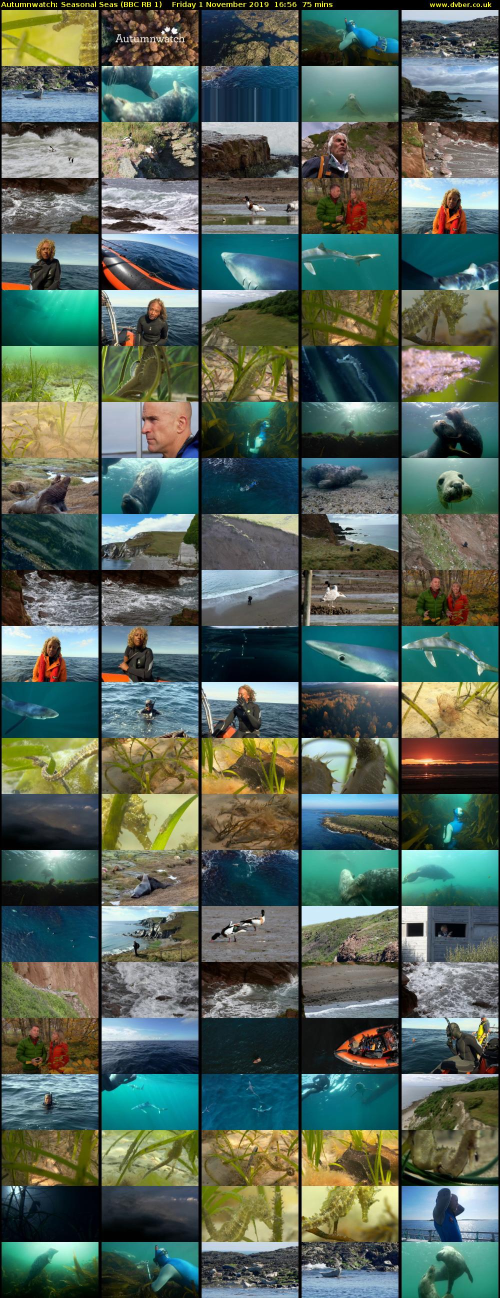 Autumnwatch: Seasonal Seas (BBC RB 1) Friday 1 November 2019 16:56 - 18:11