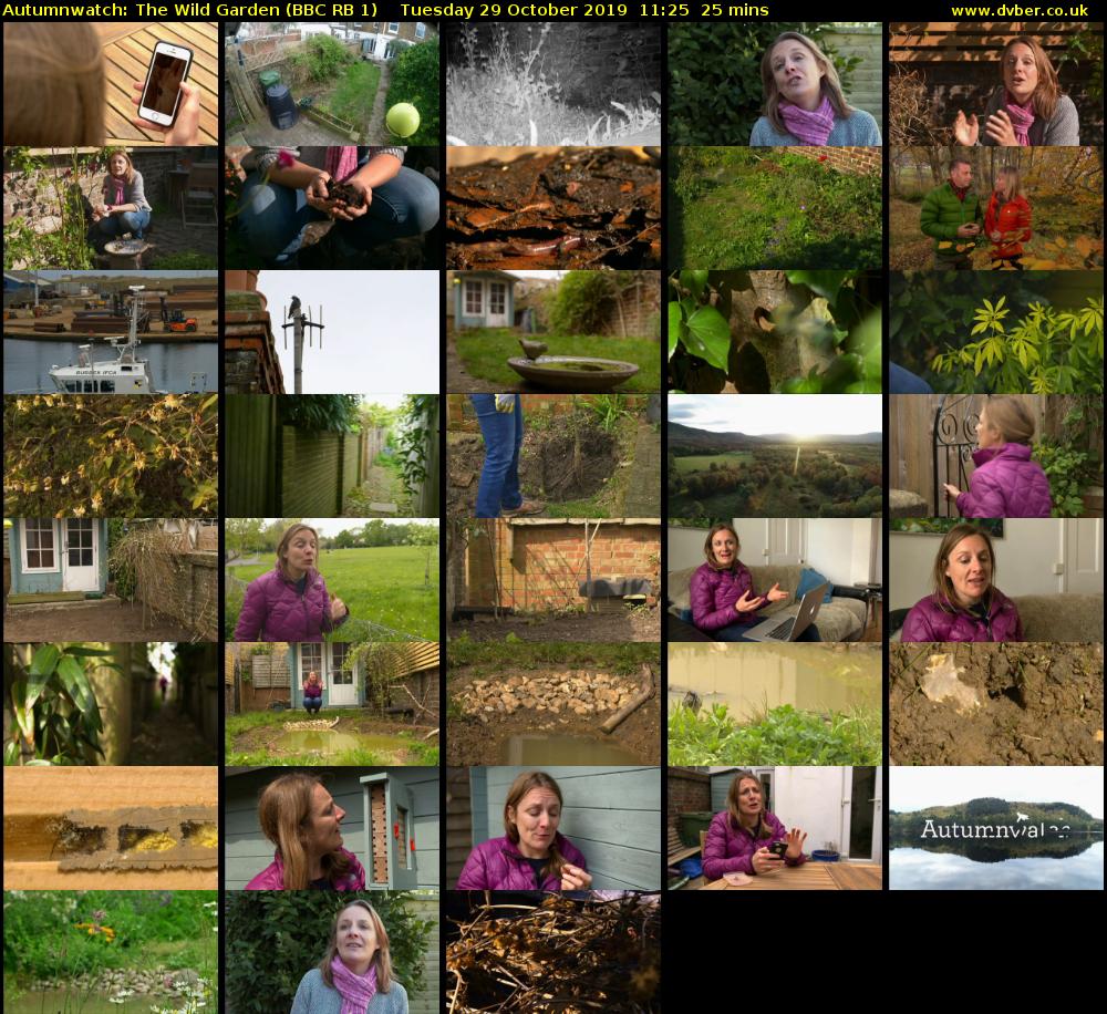 Autumnwatch: The Wild Garden (BBC RB 1) Tuesday 29 October 2019 11:25 - 11:50