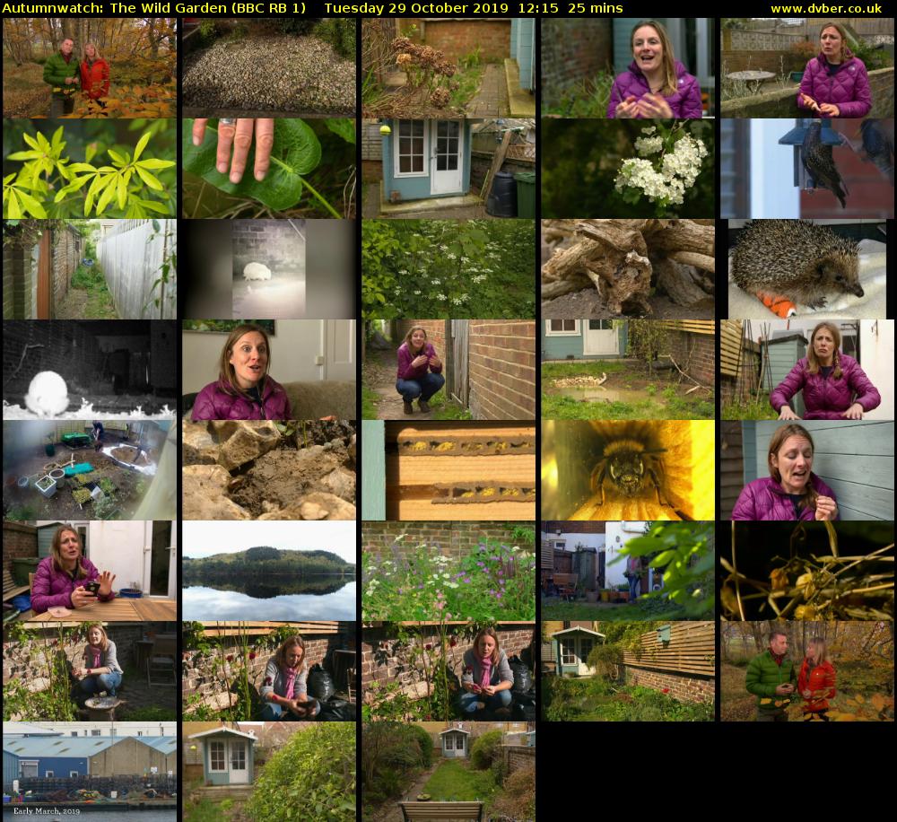 Autumnwatch: The Wild Garden (BBC RB 1) Tuesday 29 October 2019 12:15 - 12:40