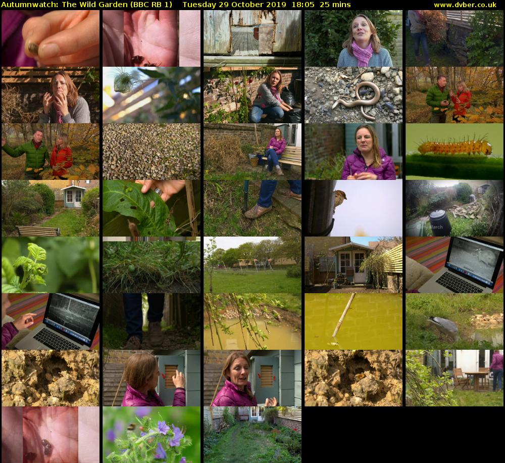 Autumnwatch: The Wild Garden (BBC RB 1) Tuesday 29 October 2019 18:05 - 18:30
