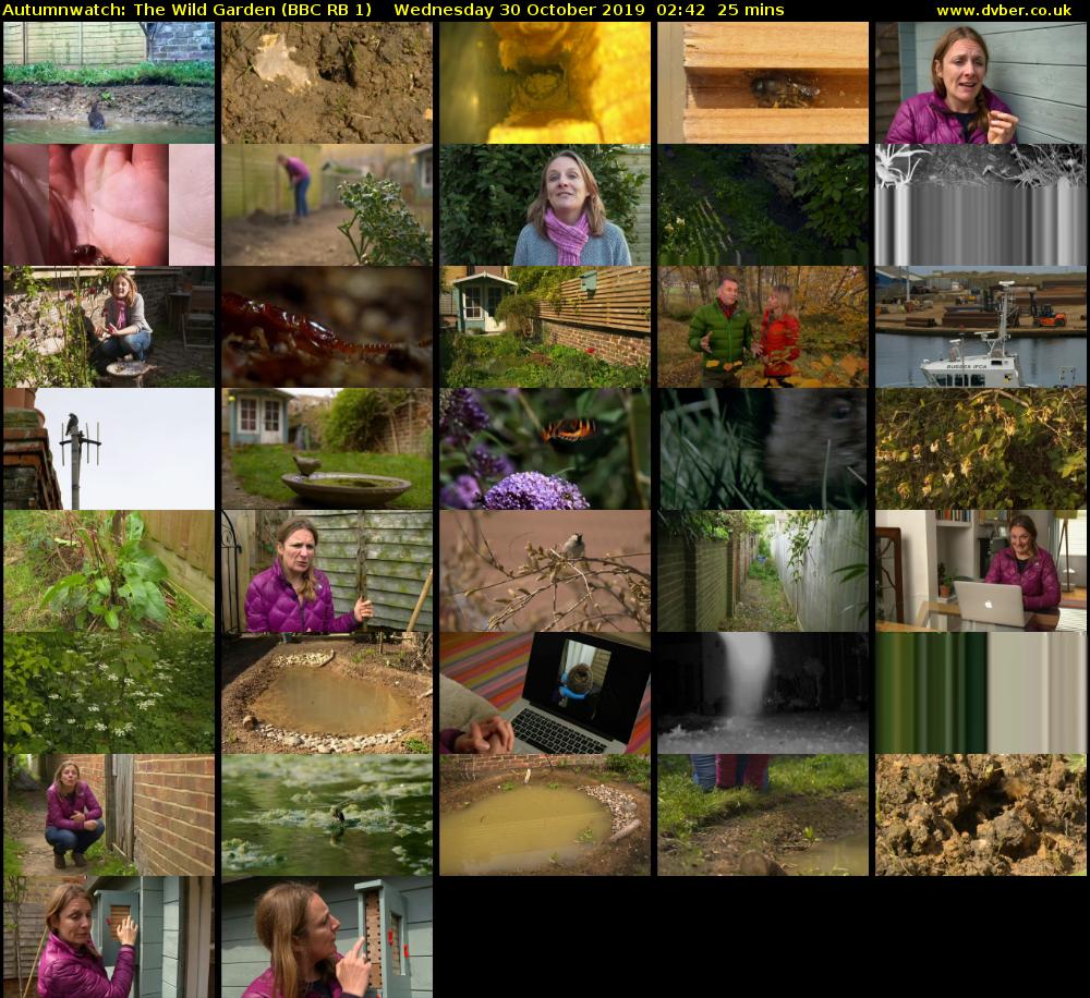 Autumnwatch: The Wild Garden (BBC RB 1) Wednesday 30 October 2019 02:42 - 03:07